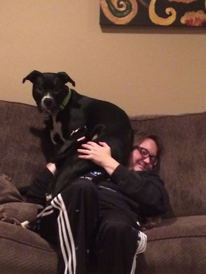 130 Asshole Dogs That Don&#8217;t Care About Personal Space