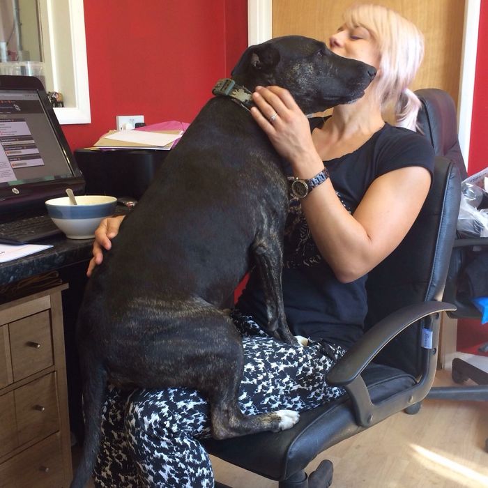 130 Asshole Dogs That Don&#8217;t Care About Personal Space