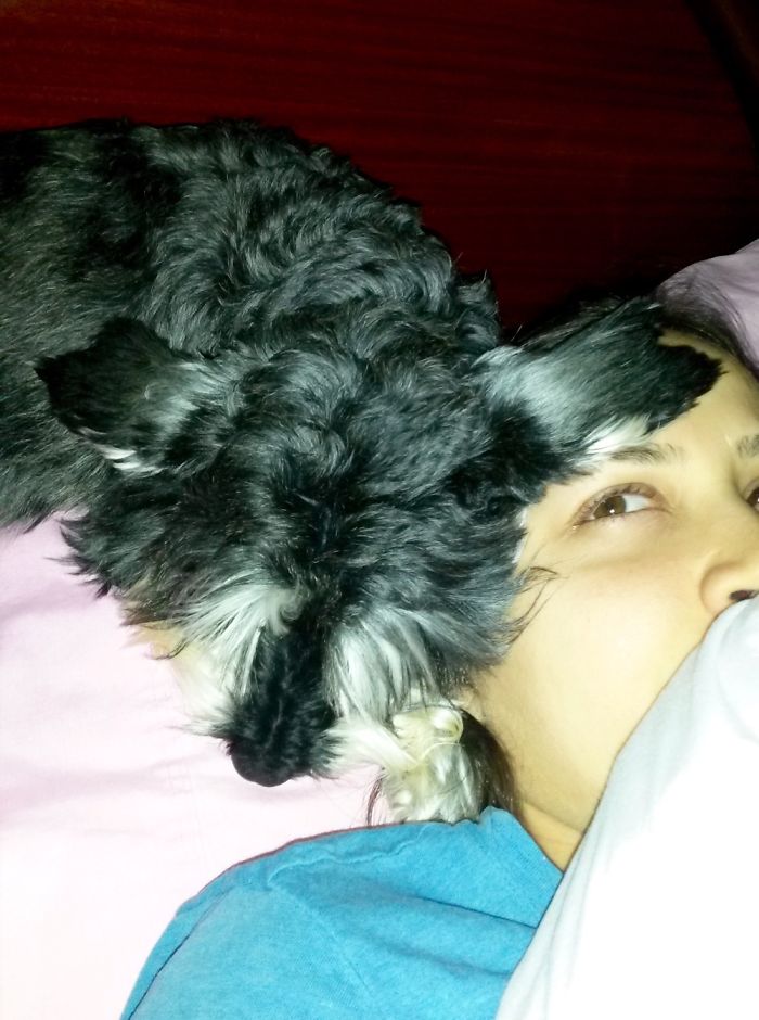 130 Asshole Dogs That Don&#8217;t Care About Personal Space