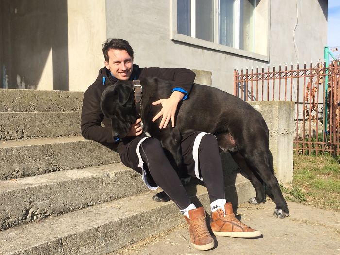 130 Asshole Dogs That Don&#8217;t Care About Personal Space