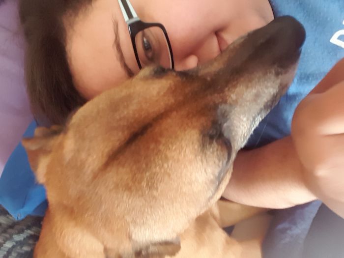 130 Asshole Dogs That Don&#8217;t Care About Personal Space