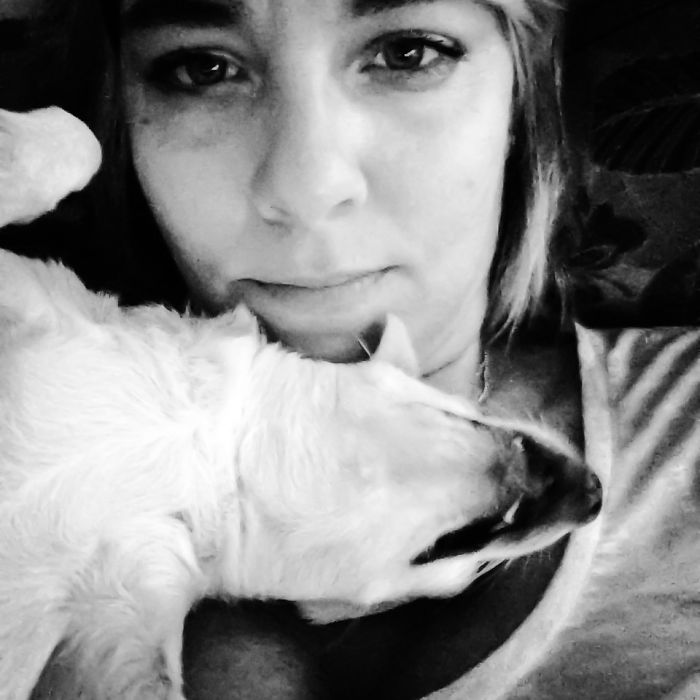 130 Asshole Dogs That Don&#8217;t Care About Personal Space