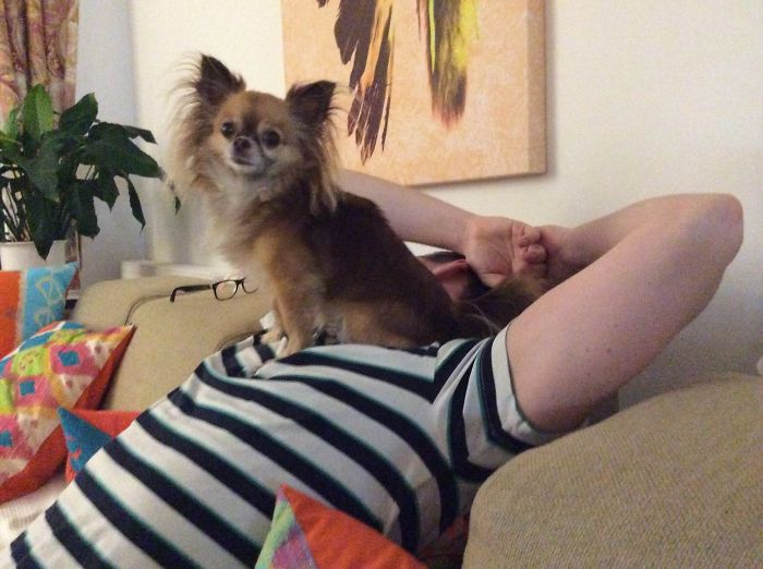 130 Asshole Dogs That Don&#8217;t Care About Personal Space