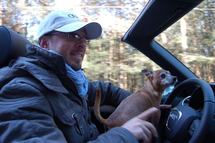 130 Asshole Dogs That Don&#8217;t Care About Personal Space