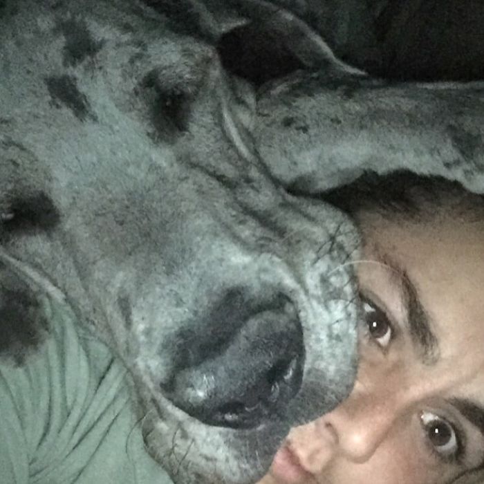 130 Asshole Dogs That Don&#8217;t Care About Personal Space