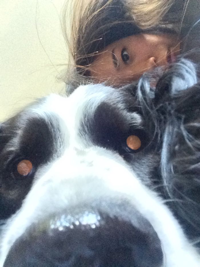 105 Nosy Dogs Who Want To Know What You&#8217;re Doing