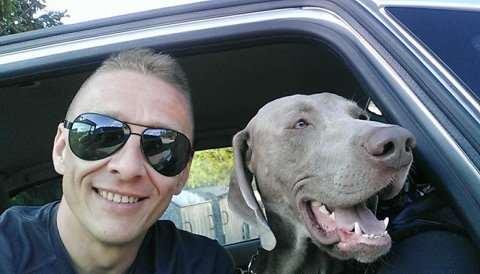 105 Nosy Dogs Who Want To Know What You&#8217;re Doing