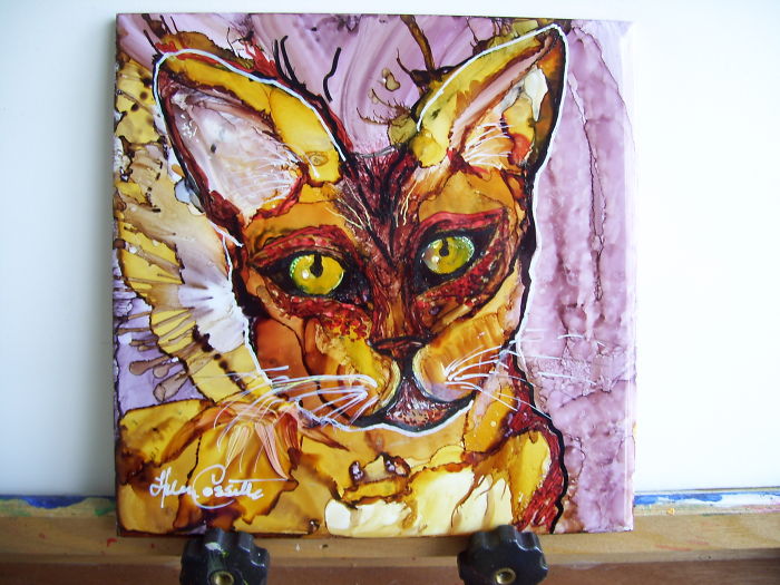 114 Cats Ready For Valentine&#8217;s Day