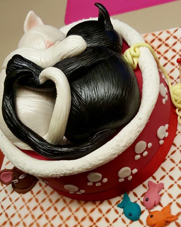 114 Cats Ready For Valentine&#8217;s Day