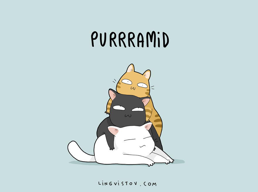 8 Cat Puns That Will Make Your Day