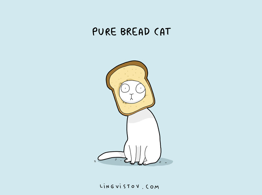 8 Cat Puns That Will Make Your Day