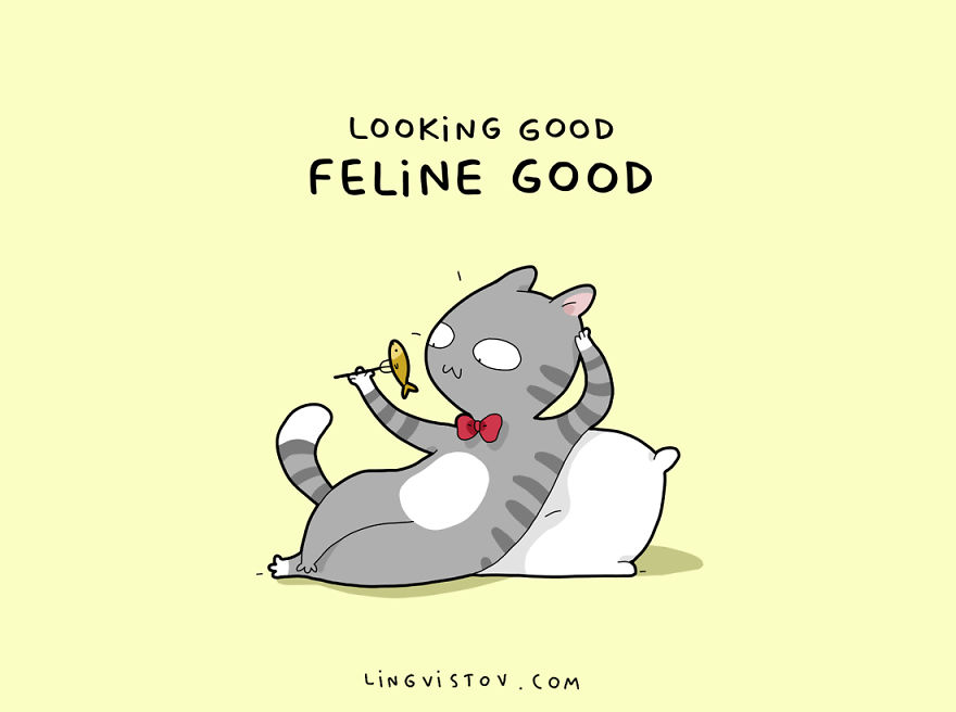 8 Cat Puns That Will Make Your Day