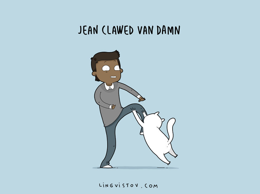 8 Cat Puns That Will Make Your Day