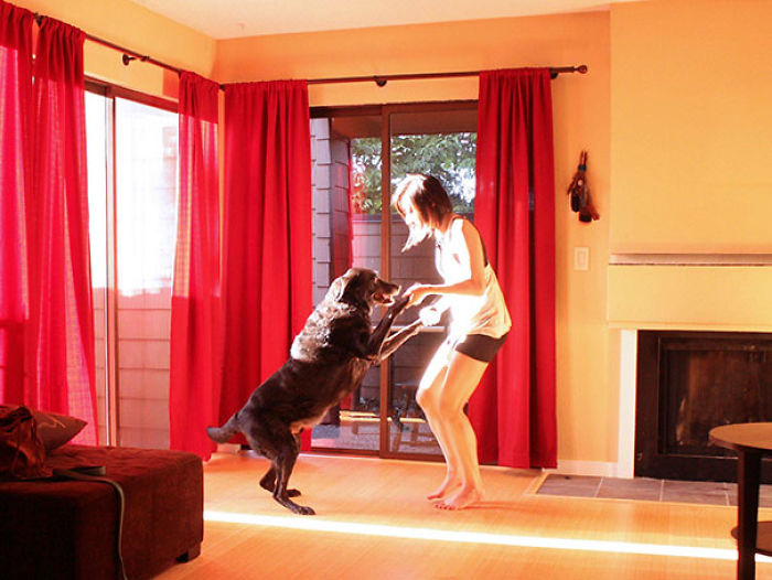 76 Of The Oldest Dogs Adopted By People With The Biggest Hearts