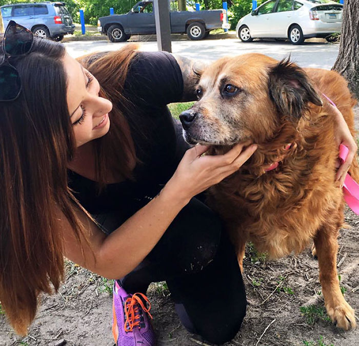 76 Of The Oldest Dogs Adopted By People With The Biggest Hearts
