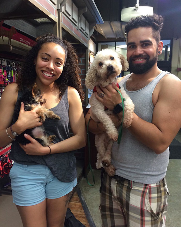 76 Of The Oldest Dogs Adopted By People With The Biggest Hearts