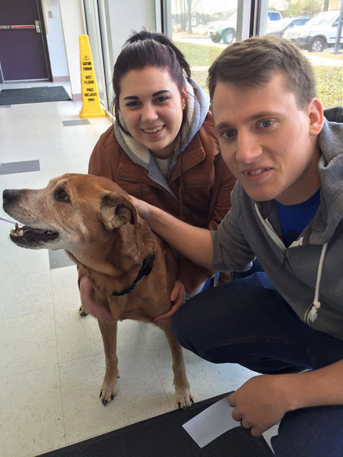 76 Of The Oldest Dogs Adopted By People With The Biggest Hearts