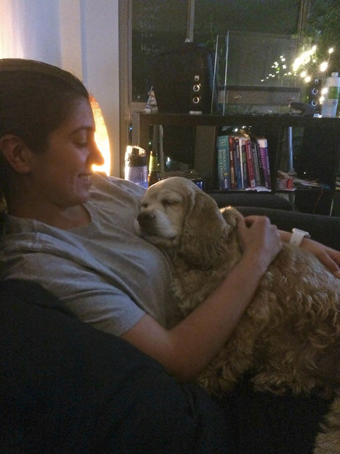 76 Of The Oldest Dogs Adopted By People With The Biggest Hearts