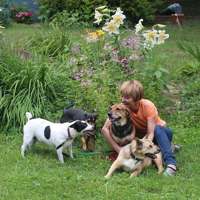 76 Of The Oldest Dogs Adopted By People With The Biggest Hearts