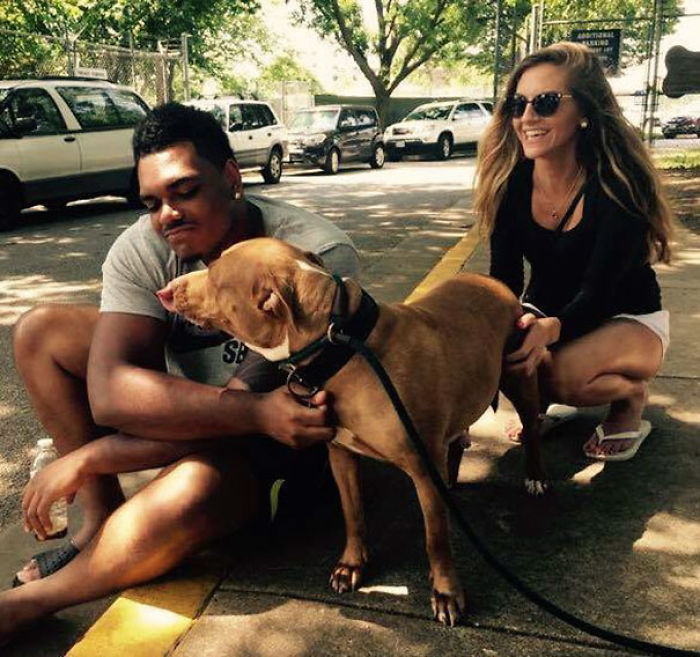 76 Of The Oldest Dogs Adopted By People With The Biggest Hearts