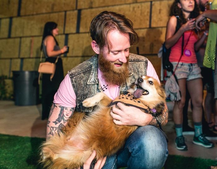 76 Of The Oldest Dogs Adopted By People With The Biggest Hearts
