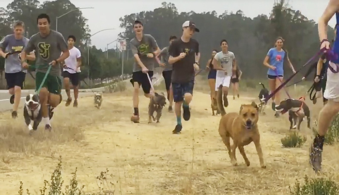 Shelter Dogs Get Invited On A Morning Run With Students, Can&#8217;t Hold Their Excitement