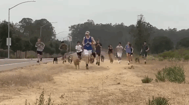 Shelter Dogs Get Invited On A Morning Run With Students, Can&#8217;t Hold Their Excitement