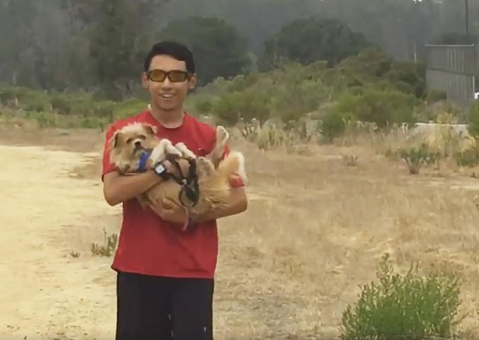 Shelter Dogs Get Invited On A Morning Run With Students, Can&#8217;t Hold Their Excitement