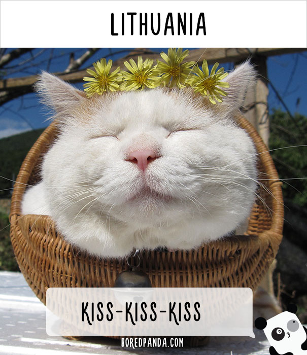 How People Call Cats In Different Countries
