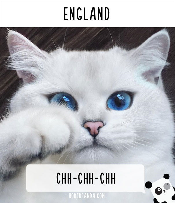 How People Call Cats In Different Countries