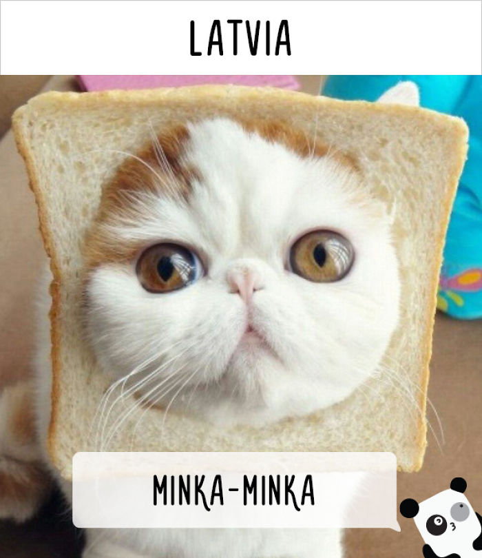How People Call Cats In Different Countries