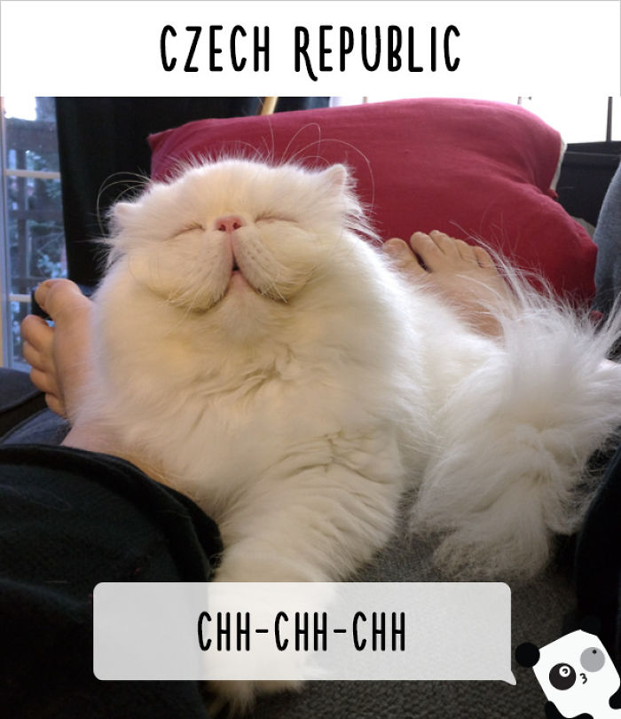 How People Call Cats In Different Countries
