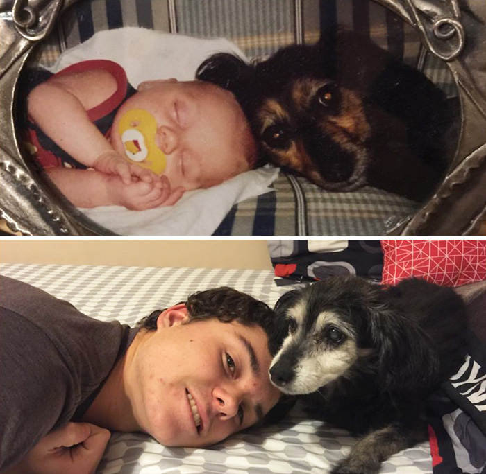 108 Before-And-After Pics Of Dogs And Their Owners Growing Up Together