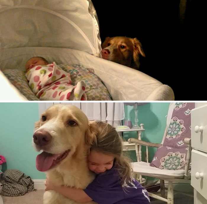 108 Before-And-After Pics Of Dogs And Their Owners Growing Up Together