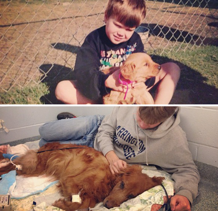 108 Before-And-After Pics Of Dogs And Their Owners Growing Up Together