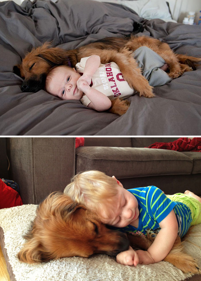 108 Before-And-After Pics Of Dogs And Their Owners Growing Up Together