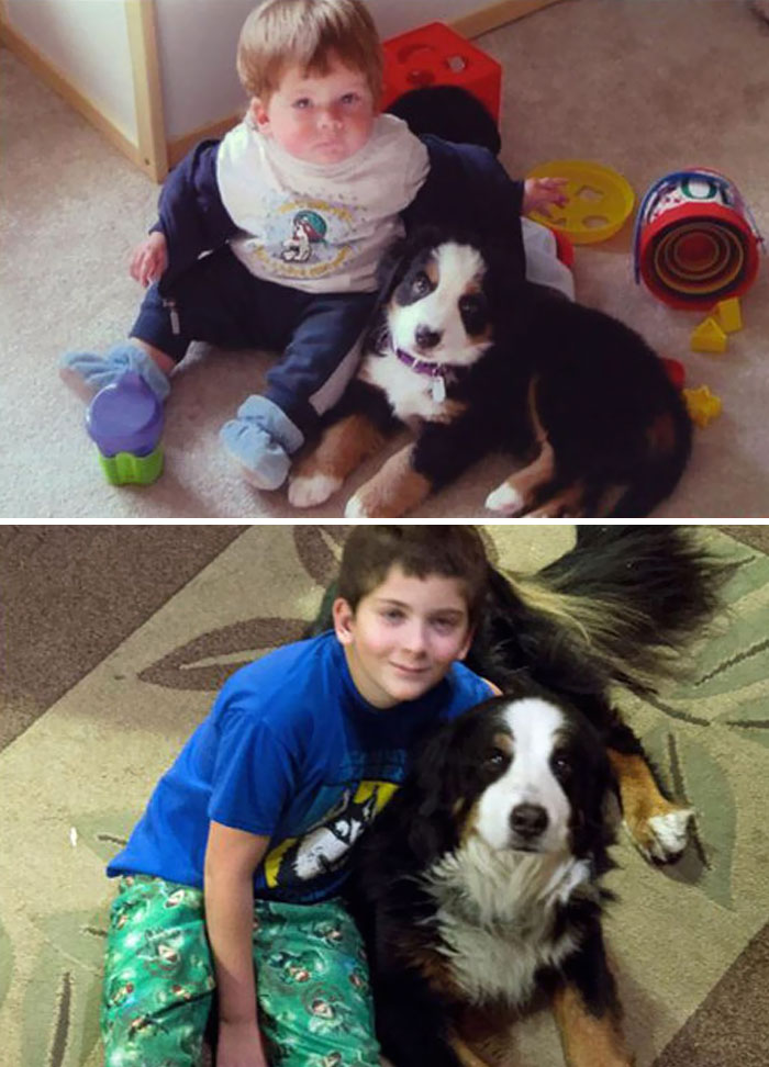108 Before-And-After Pics Of Dogs And Their Owners Growing Up Together