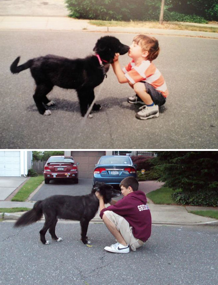 108 Before-And-After Pics Of Dogs And Their Owners Growing Up Together