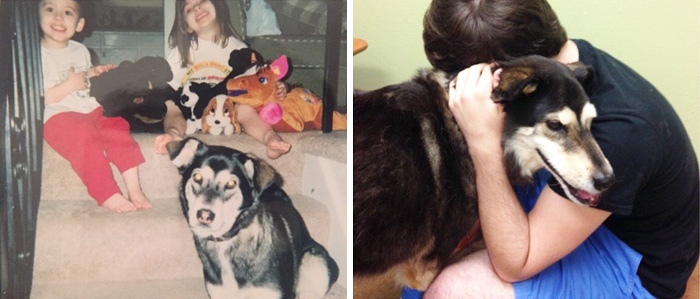 108 Before-And-After Pics Of Dogs And Their Owners Growing Up Together