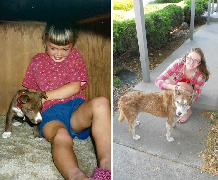 108 Before-And-After Pics Of Dogs And Their Owners Growing Up Together