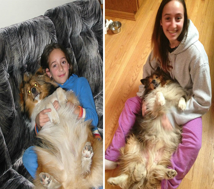 108 Before-And-After Pics Of Dogs And Their Owners Growing Up Together