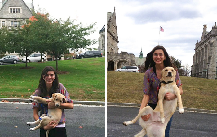 108 Before-And-After Pics Of Dogs And Their Owners Growing Up Together