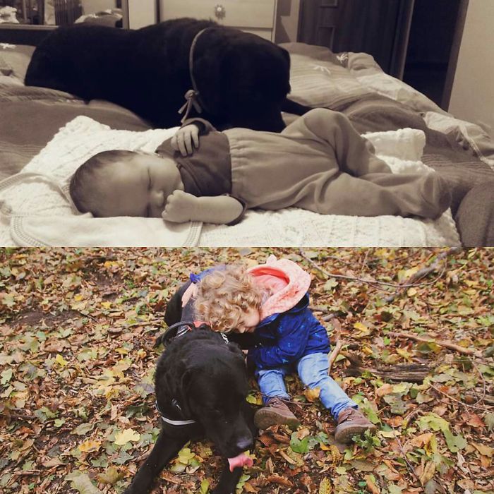 108 Before-And-After Pics Of Dogs And Their Owners Growing Up Together