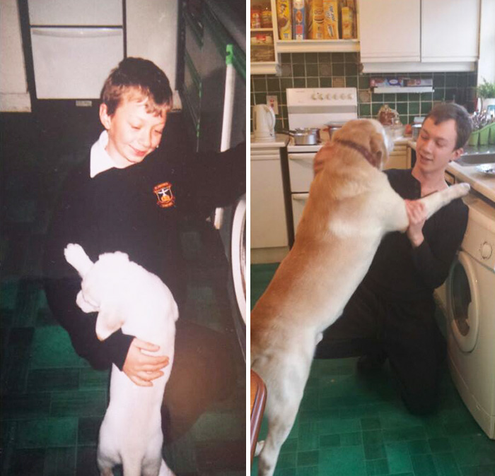 108 Before-And-After Pics Of Dogs And Their Owners Growing Up Together