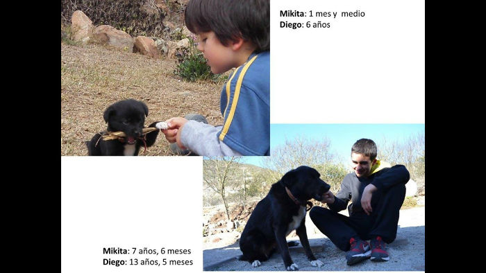 108 Before-And-After Pics Of Dogs And Their Owners Growing Up Together