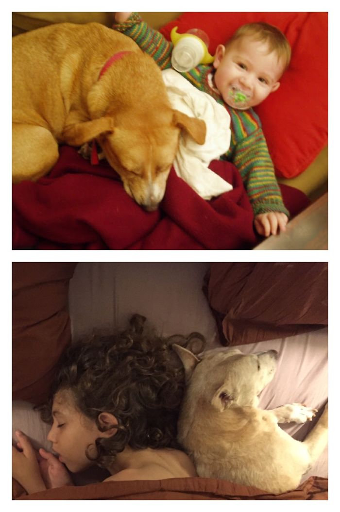 108 Before-And-After Pics Of Dogs And Their Owners Growing Up Together