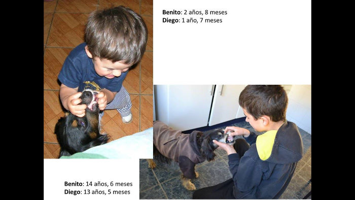 108 Before-And-After Pics Of Dogs And Their Owners Growing Up Together