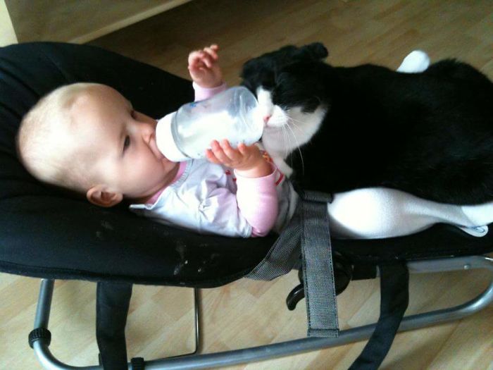 108 Before-And-After Pics Of Dogs And Their Owners Growing Up Together
