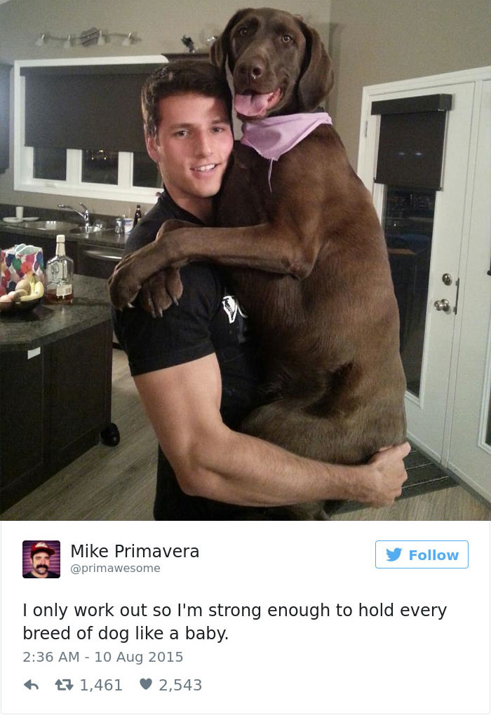 147 Of The Best Dog Tweets Of All Time