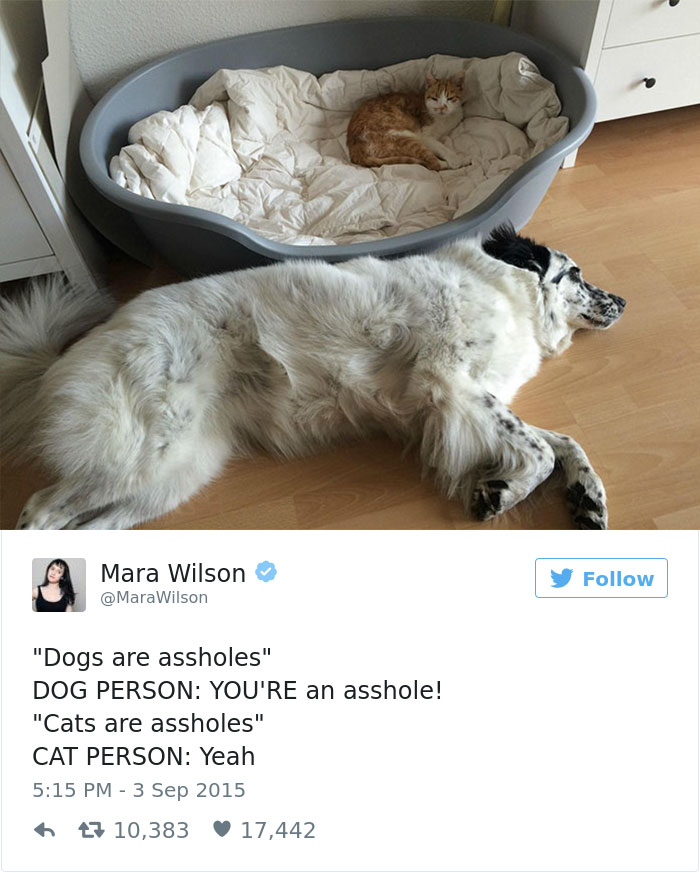 147 Of The Best Dog Tweets Of All Time